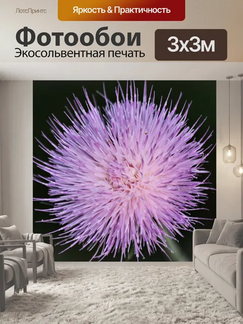 Фотообои Фиолетовый чертополох полевой цветок кру