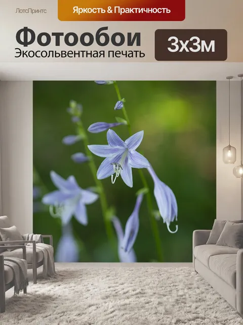 Фотообои Цветы