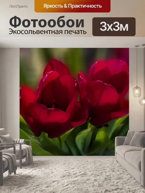 Фотообои Красные тюльпаны Цветочный фон