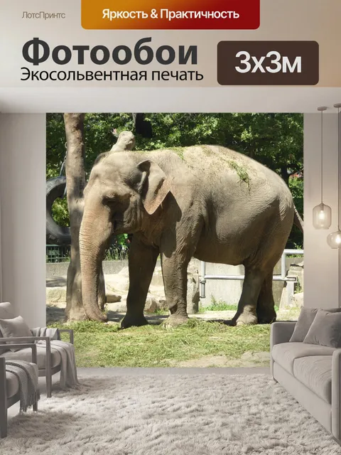 Фотообои Животные