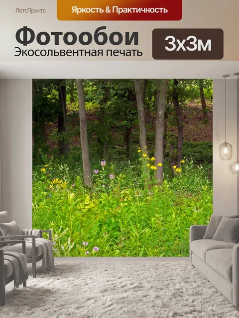 Фотообои Полевые цветы и сорняки