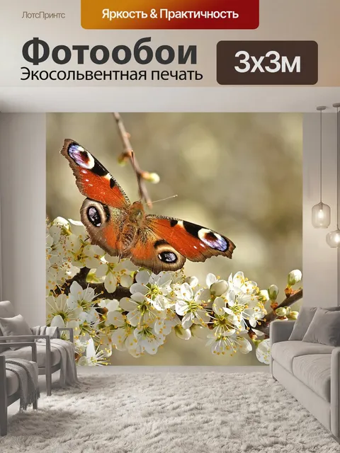 Фотообои Бабочка