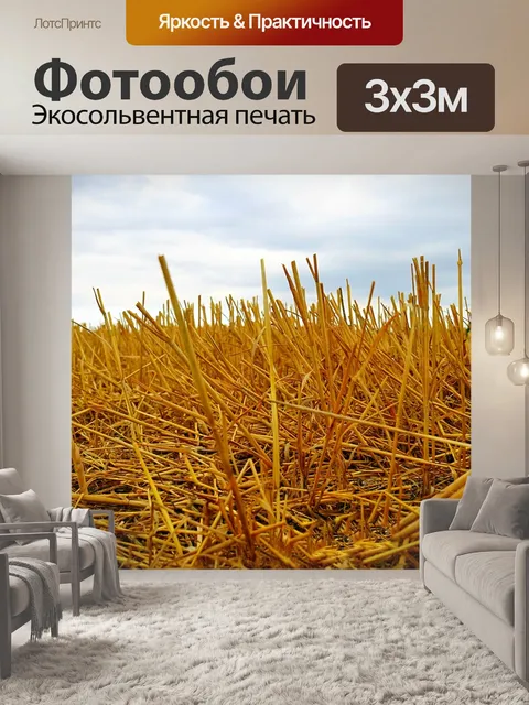 Фотообои Золото