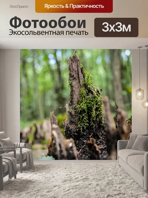 Фотообои Лес