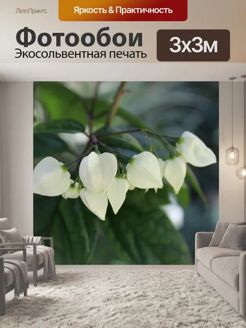 Фотообои Цветы