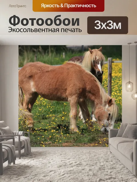 Фотообои Лошади