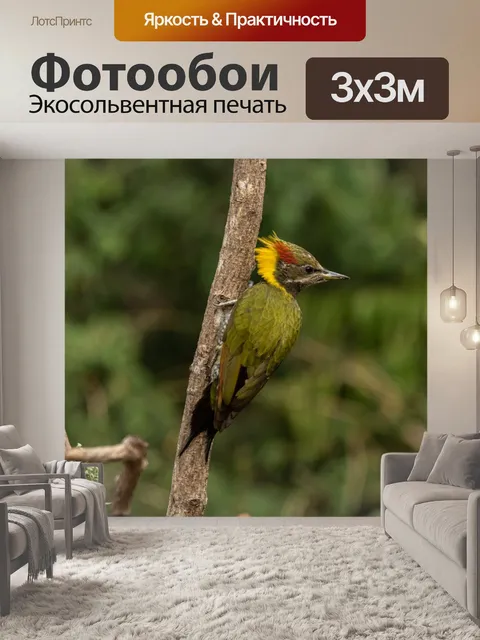 Фотообои Птица