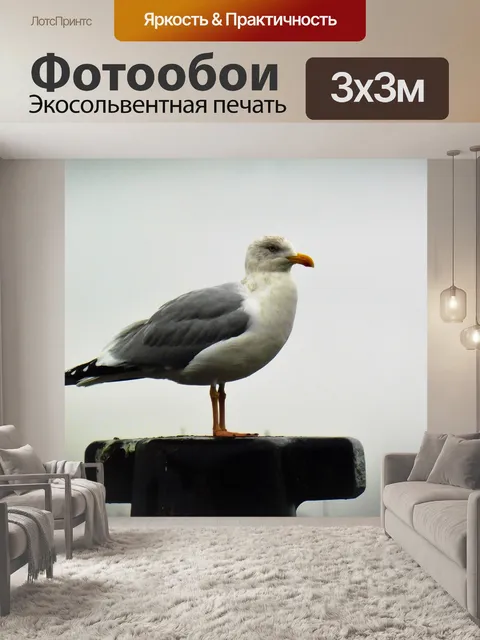 Фотообои Птица