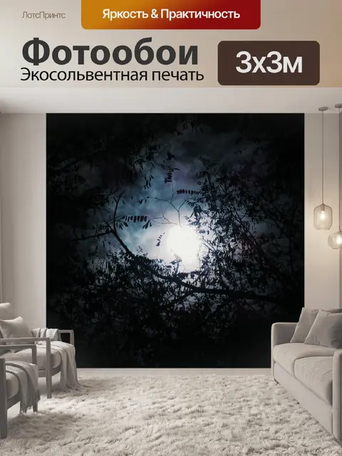 Фотообои Деревья
