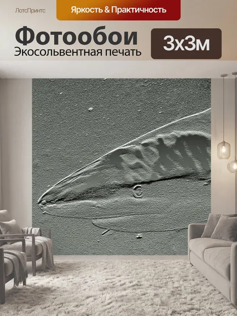 Фотообои Барельефы акулы