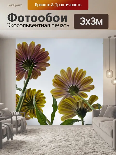 Фотообои Ницца цветов