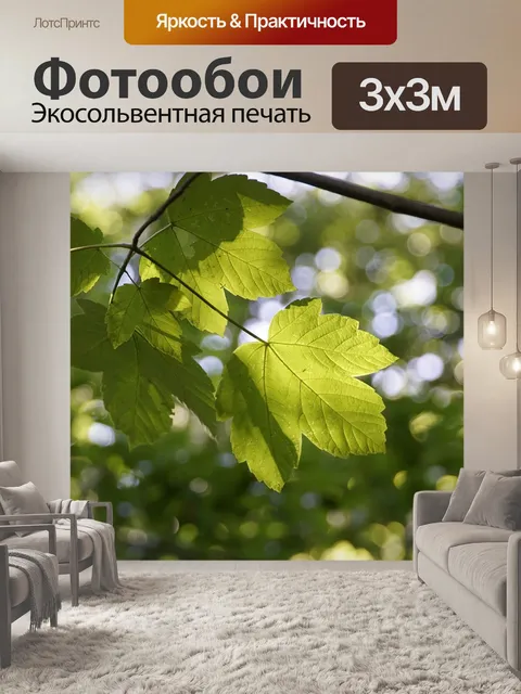 Фотообои Клен