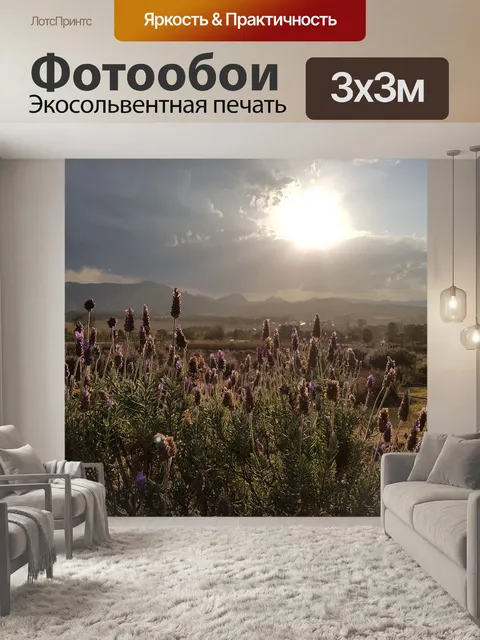 Фотообои Лаванда