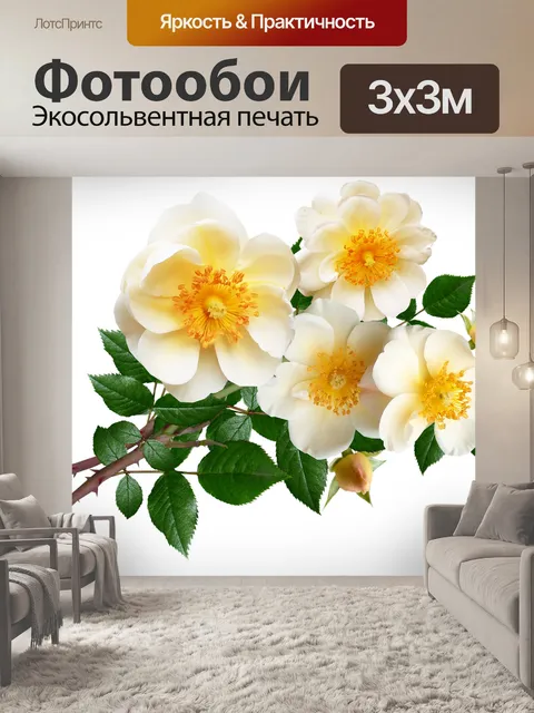 Фотообои Цветы