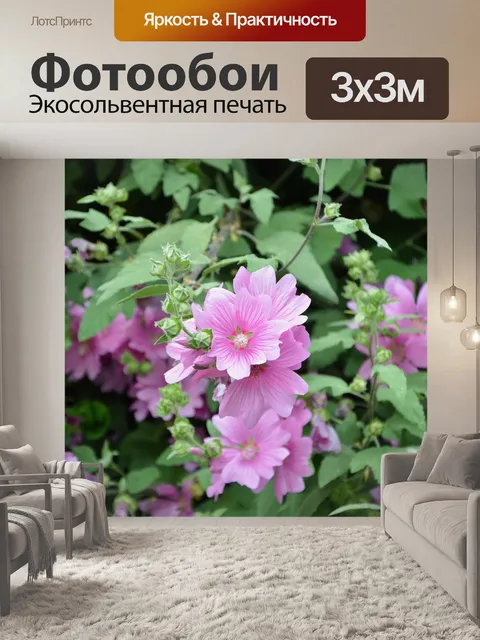 Фотообои Цветок