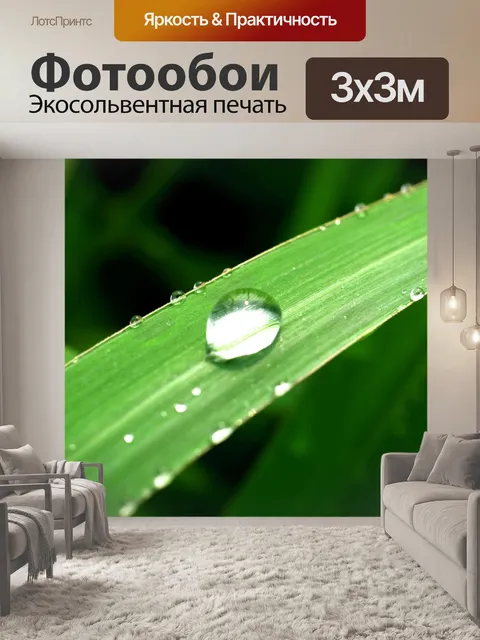 Фотообои Капля воды на листе