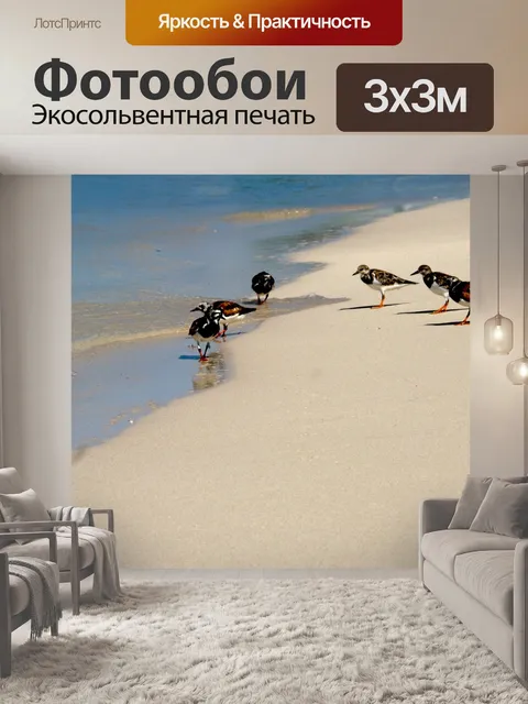 Фотообои Птицы