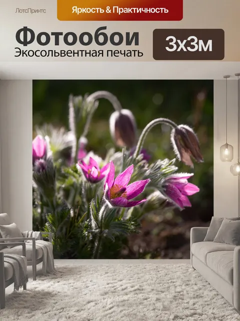 Фотообои Цветок