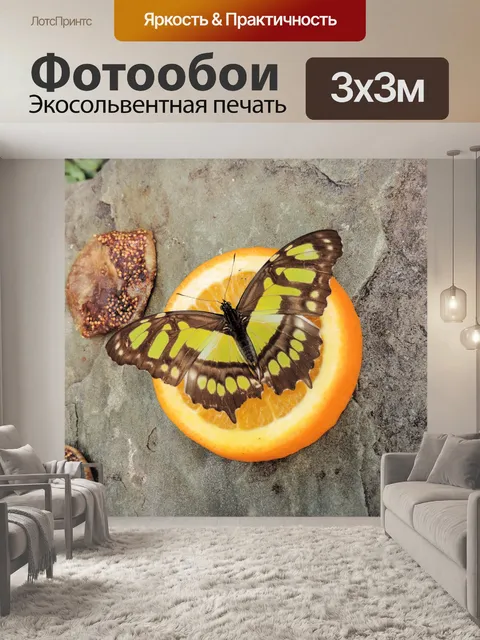 Фотообои Бабочка