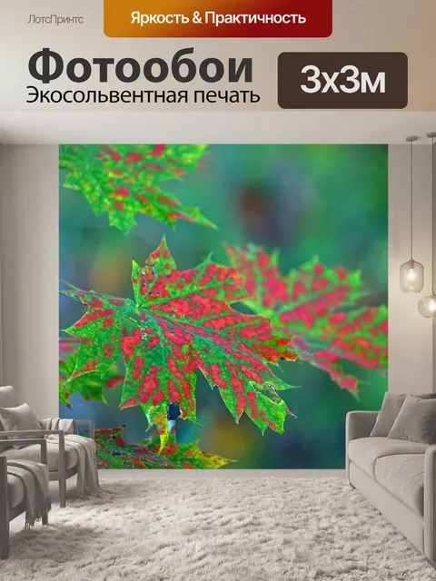 Фотообои Клен