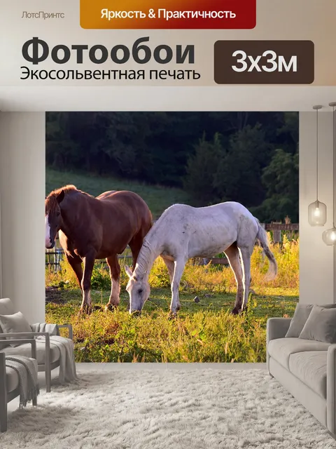 Фотообои Лошади