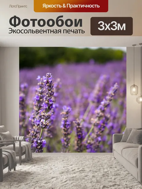 Фотообои Лаванда