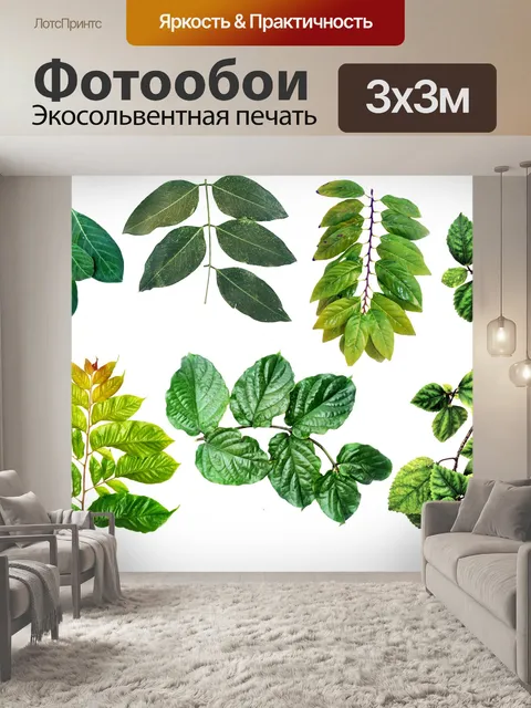Фотообои Листья