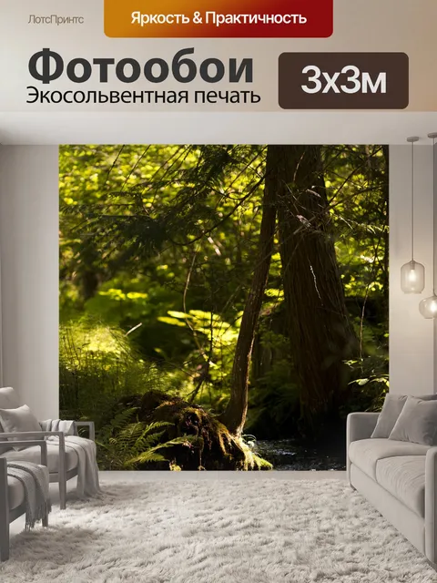 Фотообои Лес