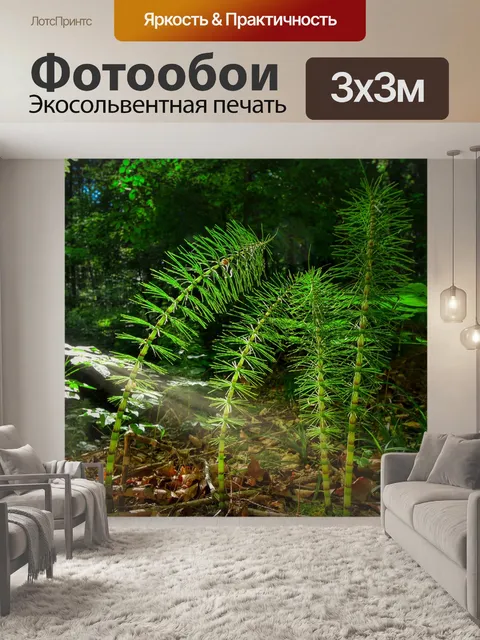Фотообои Лес
