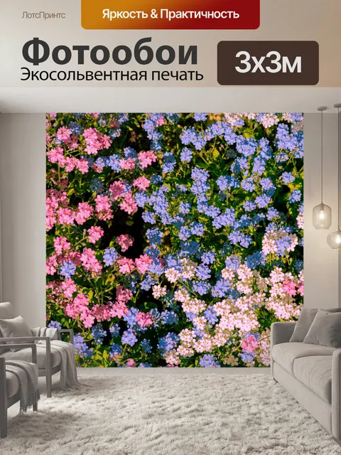 Фотообои Ромашки