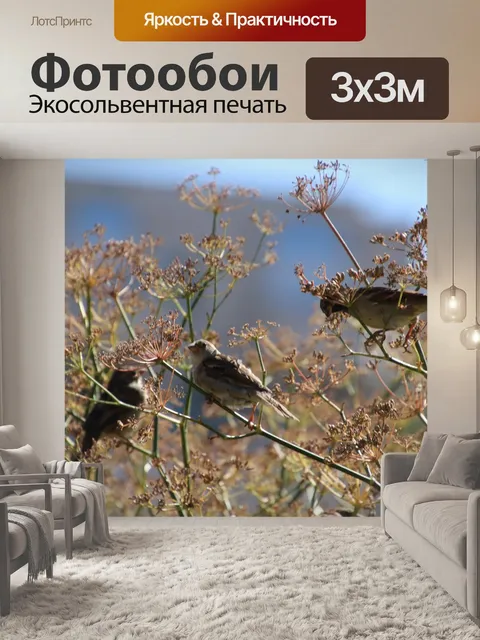 Фотообои Воробьев