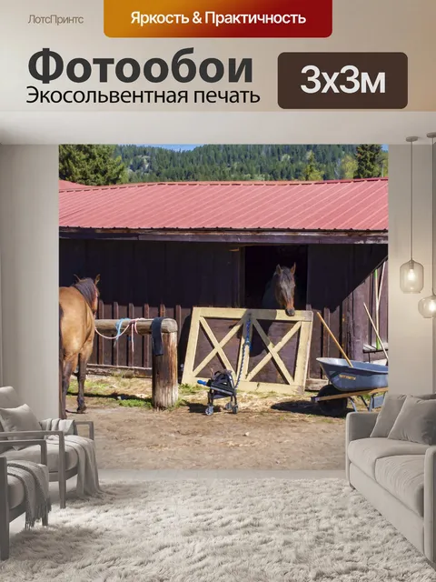 Фотообои лошадь