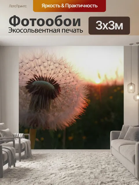 Фотообои Одуванчик