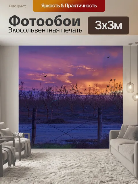 Фотообои Заход солнца