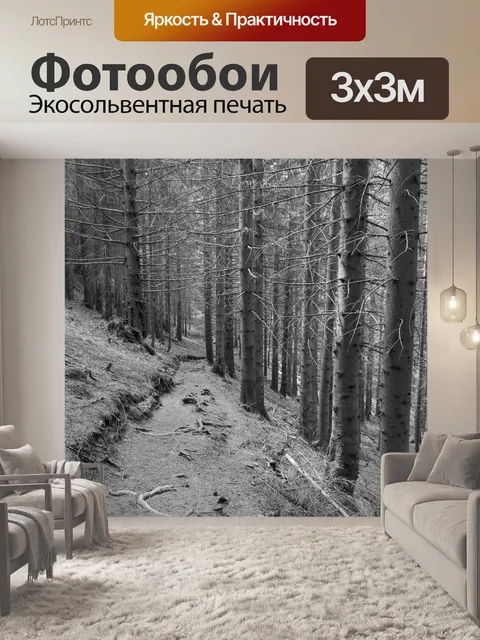 Фотообои Черно-белый
