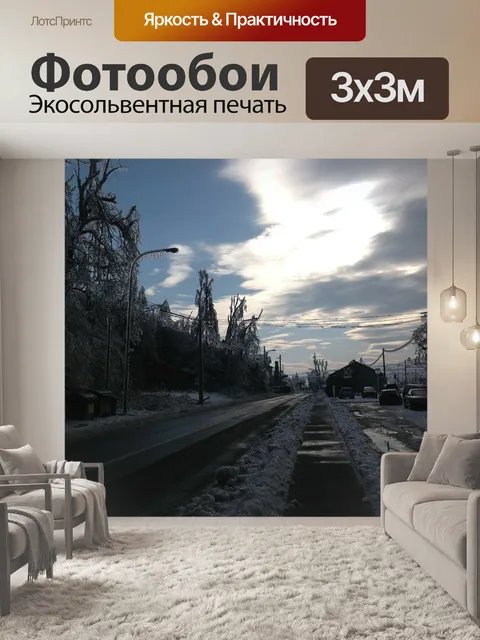 Фотообои Изгородь