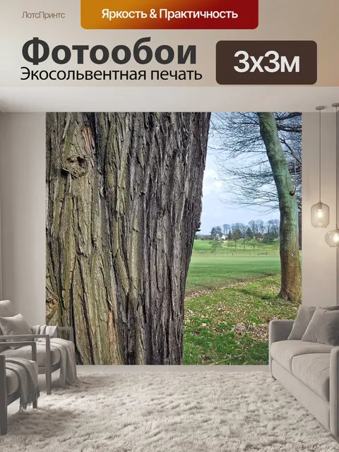 Фотообои Деревья