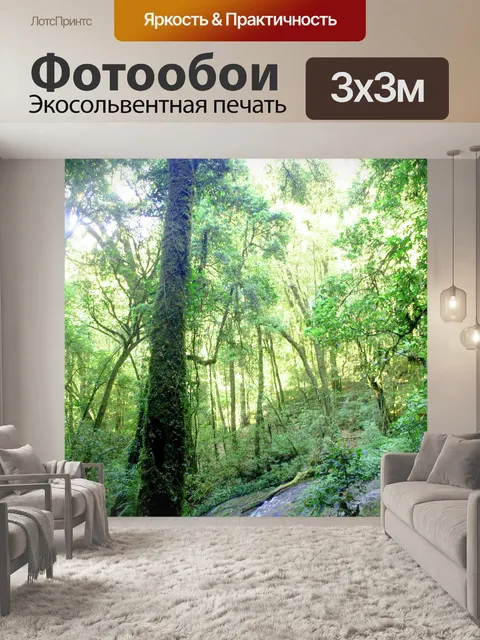 Фотообои Природа тропический лес дои Интанон наци