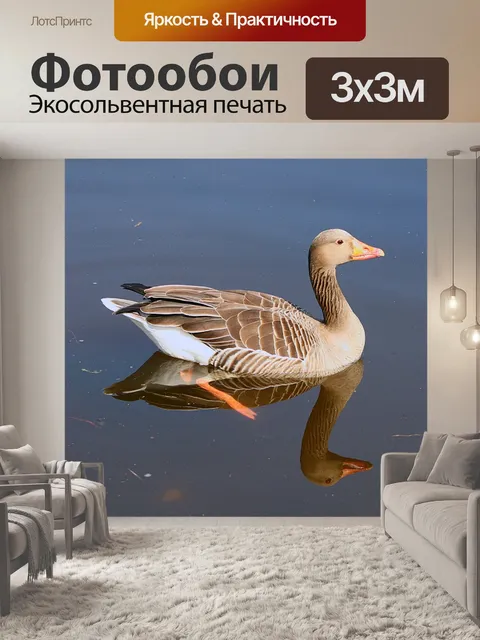 Фотообои Птица