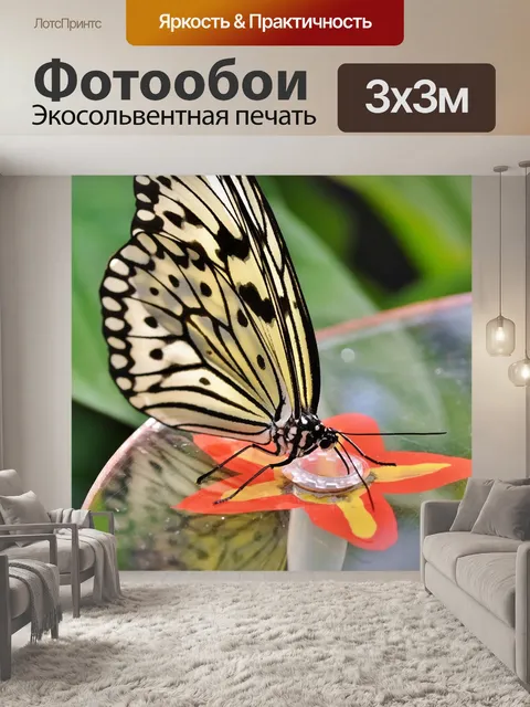 Фотообои Бабочка
