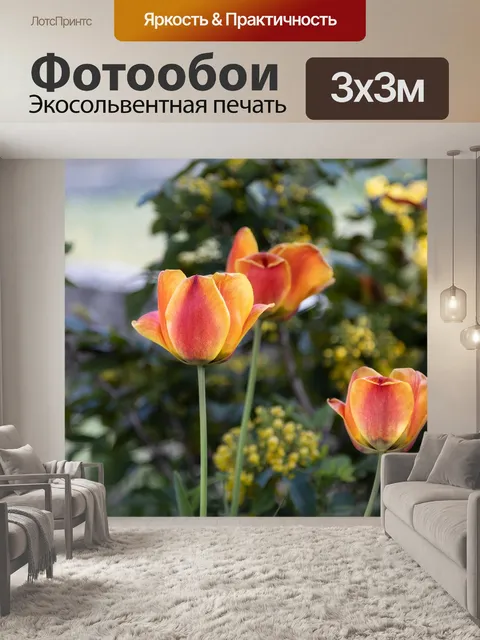 Фотообои Цветок