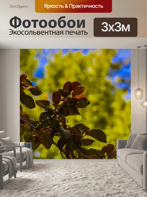Фотообои Осенний лист фона