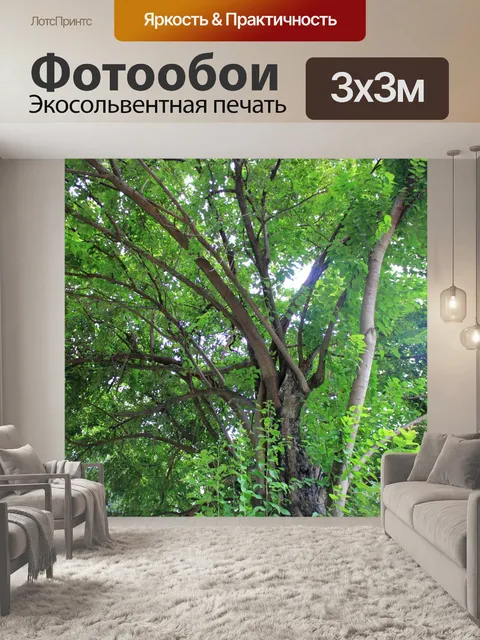 Фотообои Green Tree