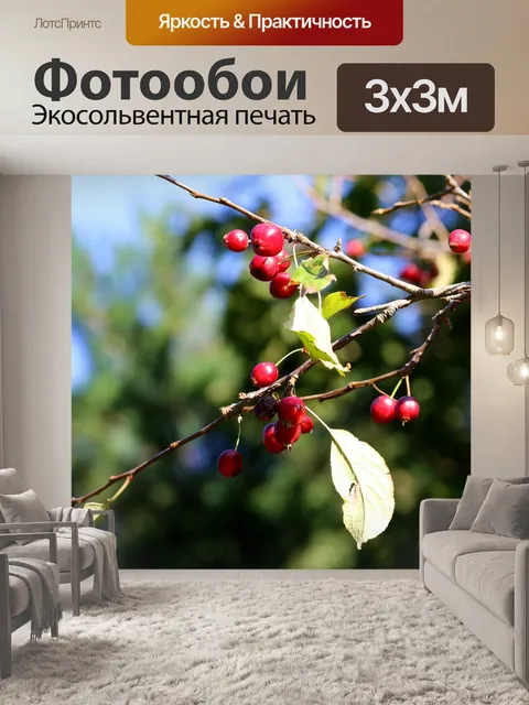Фотообои Природа