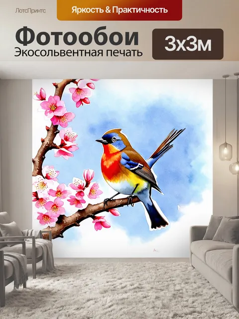 Фотообои птица с яркими перьями