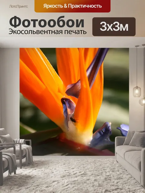 Фотообои Райская птица в цвету