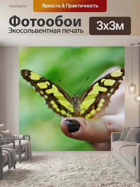 Фотообои Бабочка куклы