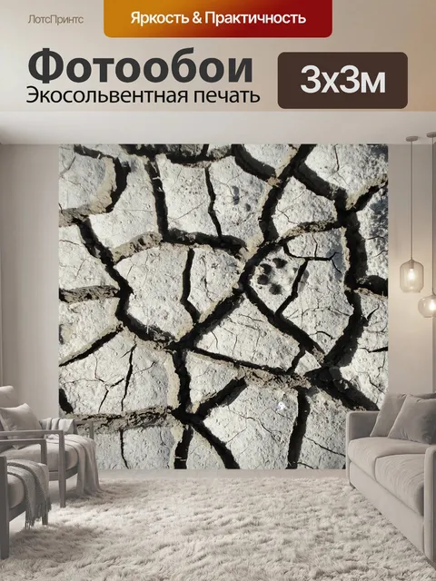 Фотообои Почвы