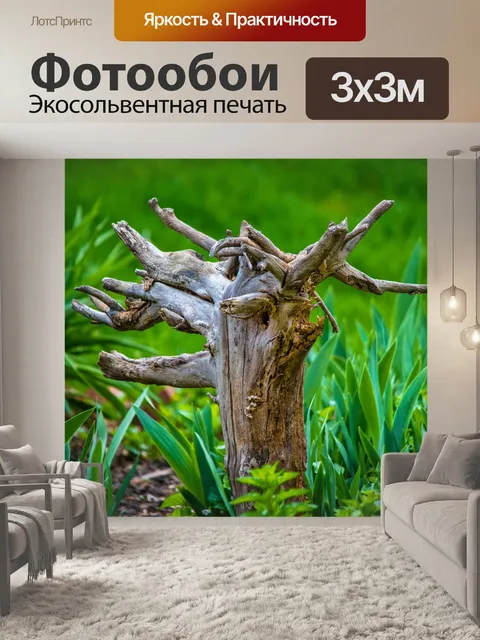Фотообои Дерево