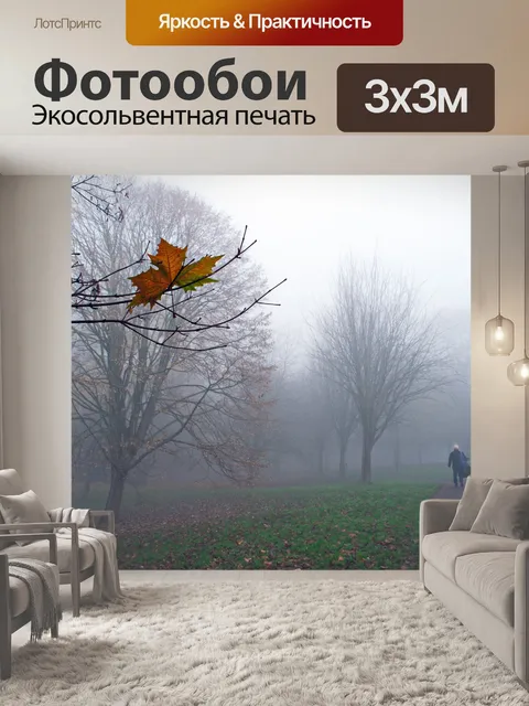 Фотообои Потерял в тумане